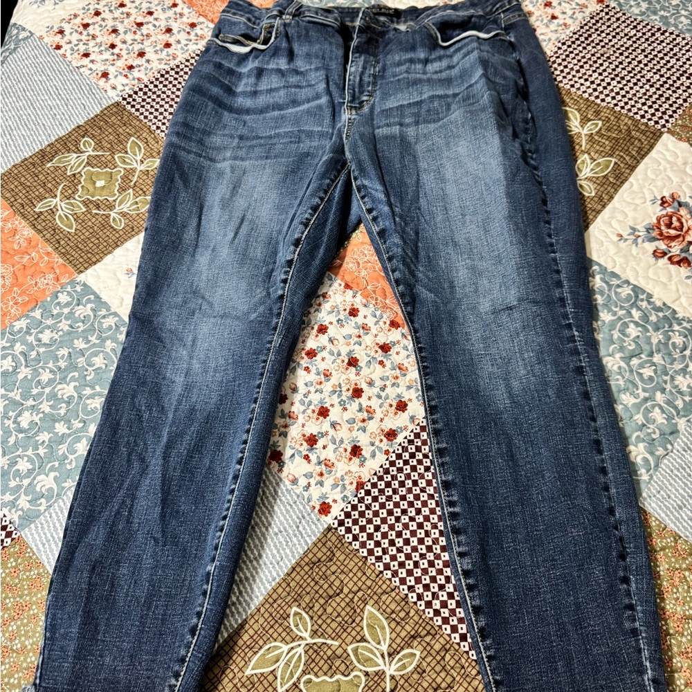 Judy Blue Dark Wash Skinny Jeans